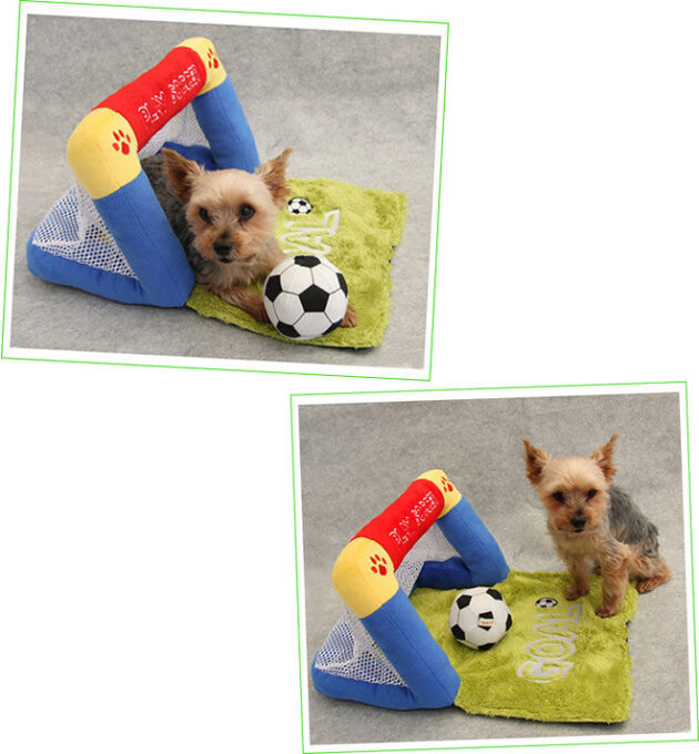Soccer Goal Set for Pets - Image 3