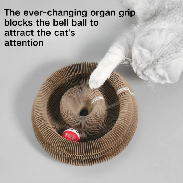 Pet Toy Magic Organ Foldable Cat Cardboard Scratcher Scratch Pad Paper Board Toy For Cat Scratchers - Image 4