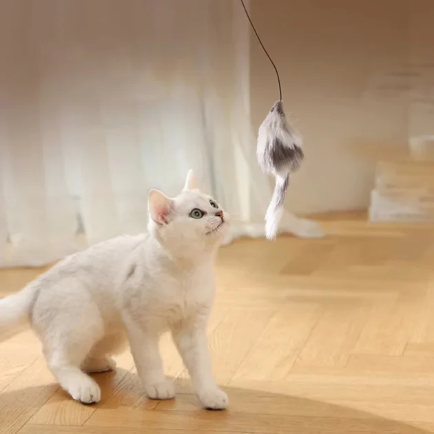 Automatic Intelligent Cat Toy Interactive with 5 Replaceable Obstacle Avoidance Balls Fun Interactive ABS Material for Cats - Image 4