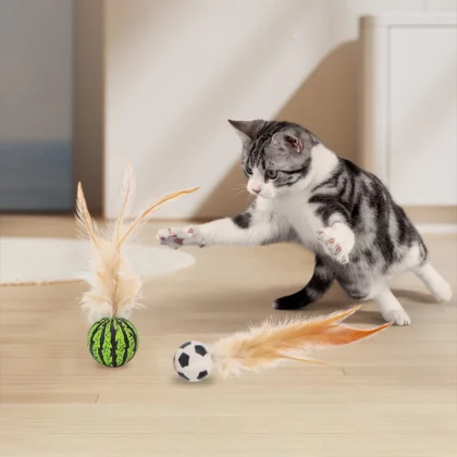Cat Toy