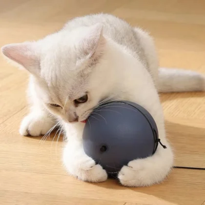 Automatic Intelligent Cat Toy Interactive with 5 Replaceable Obstacle Avoidance Balls Fun Interactive ABS Material for Cats