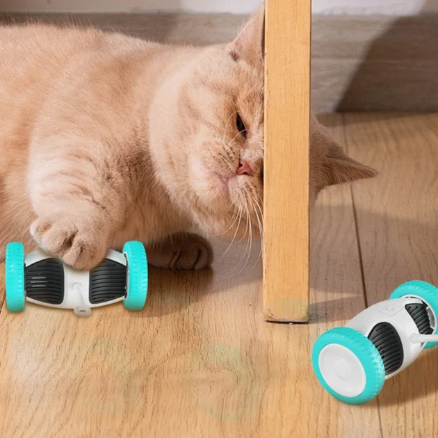 Self-Play Electric Cat Toy - Auto-Avoidance & Tumbler Design, 1.5Hrs Playtime with Feather/Bell Attachments (Type-C Charging) - Image 3