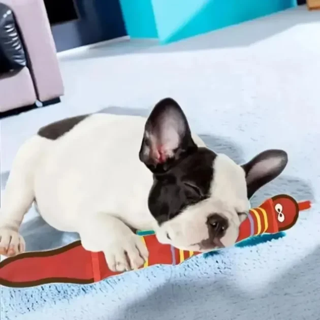 Interactive Snake Shape Squeaky Dog Toy Chew Resistant Oxford Cloth Pet Cleaning Teeth Training Chew Toy for Puppies - Image 6