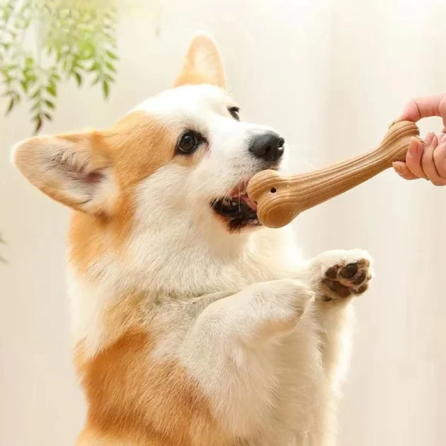 Durable Pine Wood Dog Chew Toy Cute Bone Shape Bite Resistant Molar Teeth Clean Stick Interesting Pet Accessory for Dogs - Image 2