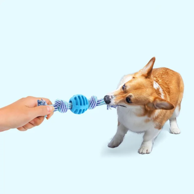 Wear-Resistant Cotton Rope TPR Ball Dog Chew Toy - Bite Resistant Easy to Clean Decompress Fun Pet Playtime Accessory - Image 3