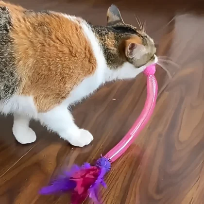 Catnip Elastic Rope Toy with Feathers & Bells, Interactive Cat Toy for Stress Relief & Exercise