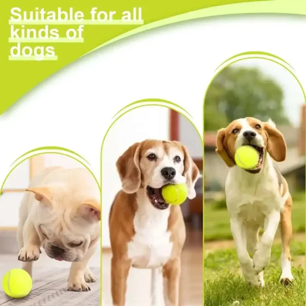 Dog Tennis Ball Launcher Dogs Chase Automatic Toys Automatic Fun Interactive Machine Fun Interactive Catapult Throw Rechargable - Image 5