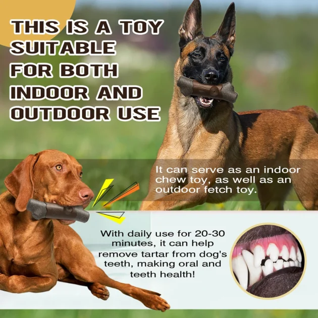 Yegbong 310g Dog Chew Toy with Squeaker - Natural Coffee Wood & Nylon Durable Chewing Bone, BPA-Free Teeth Cleaning Toy - Image 6