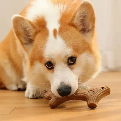 Durable Pine Wood Dog Chew Toy Cute Bone Shape Bite Resistant Molar Teeth Clean Stick Interesting Pet Accessory for Dogs
