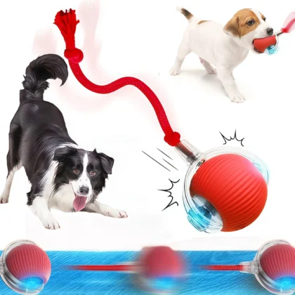Pet Toy