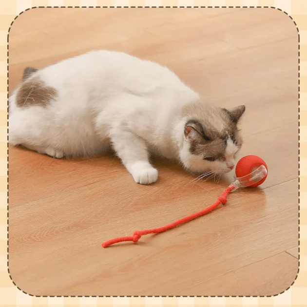 Interactive Smart Cat Ball with LED Lights Battery Operated Toy for Kittens And Cats Interactive Moving Ball - Image 2